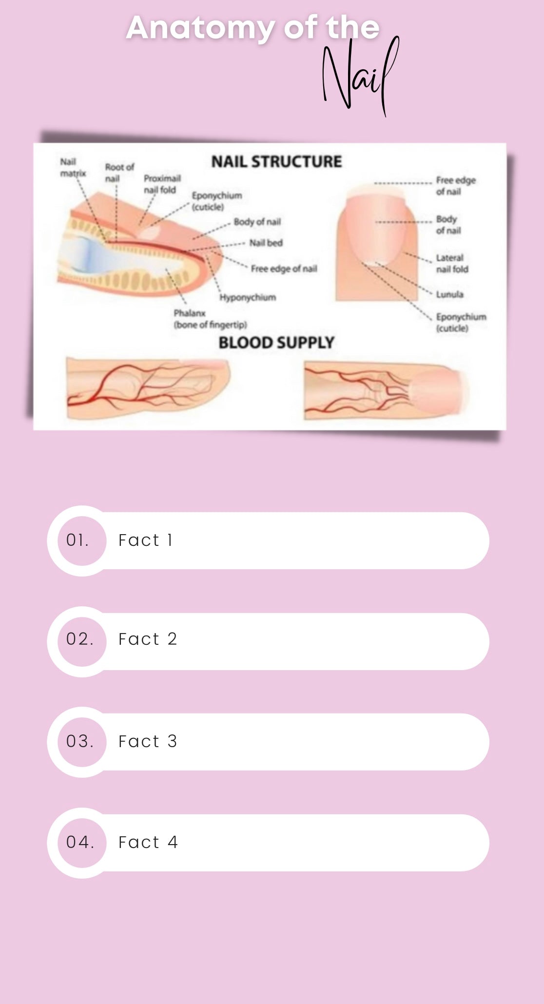 NAIL TECHNOLOGY - ACRYLIC COURSE